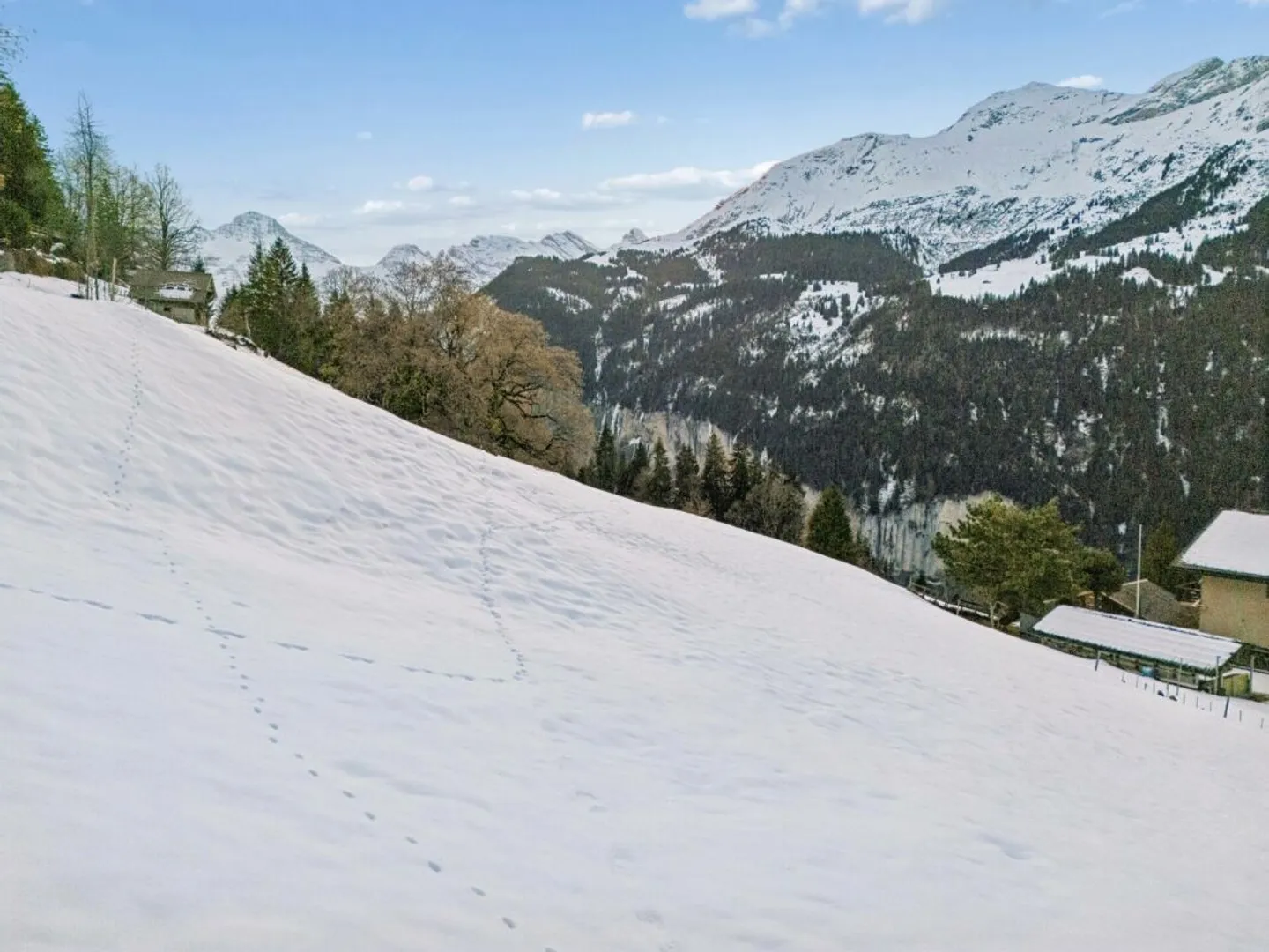 Terreno alpino a Wengen - Foto 12 di 13