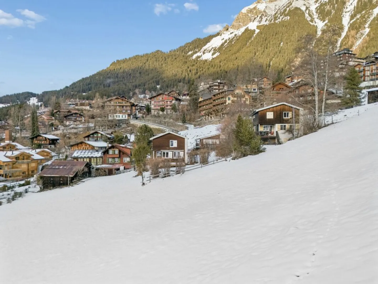 Terreno alpino a Wengen - Foto 13 di 13