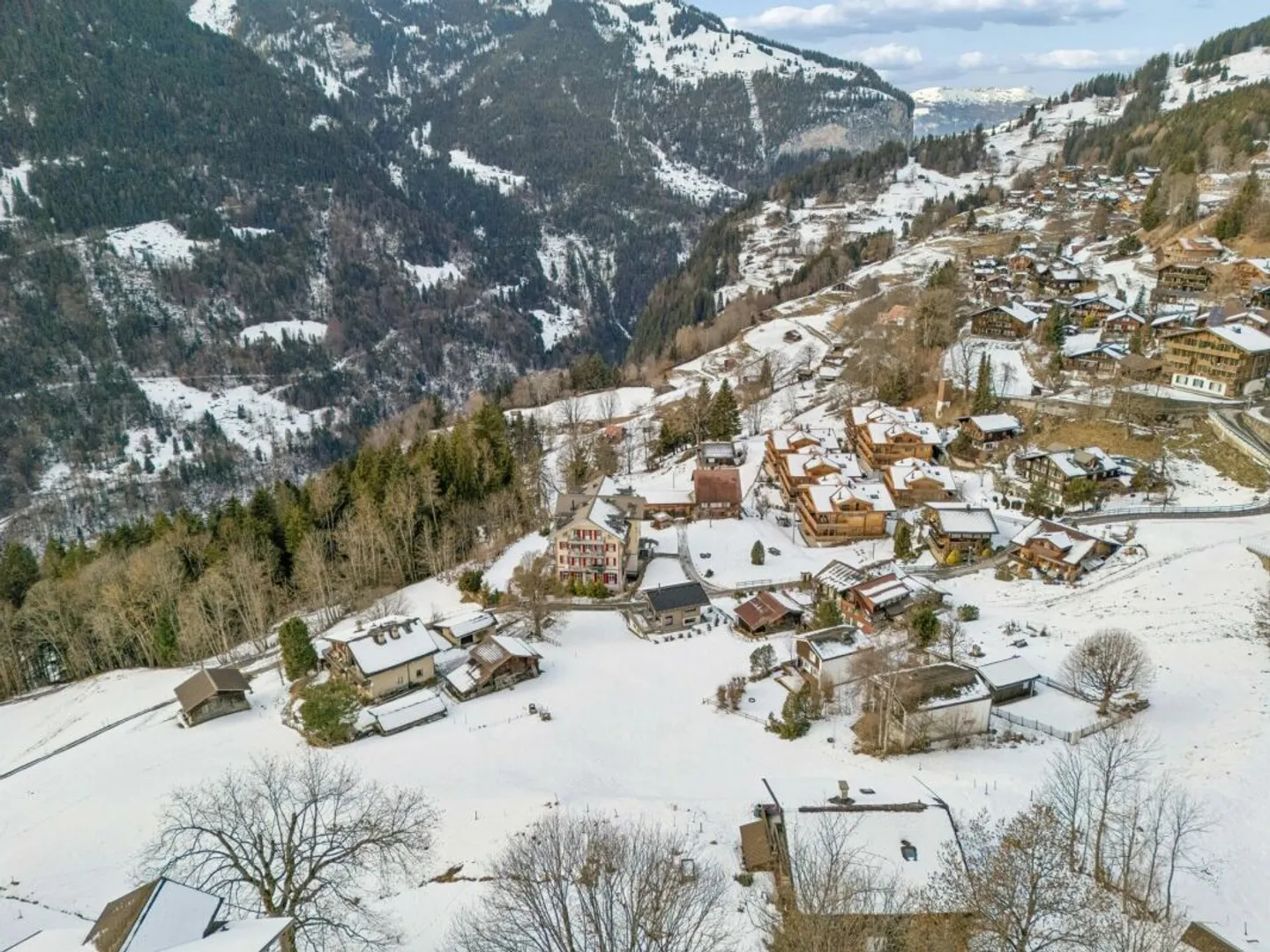 Terreno alpino a Wengen - Foto 4 di 13