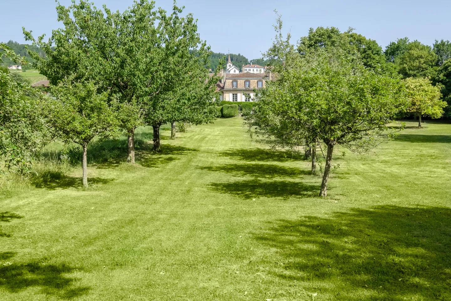 Château Historique avec Potentiel d'Agrandissement - Photo 7 sur 25