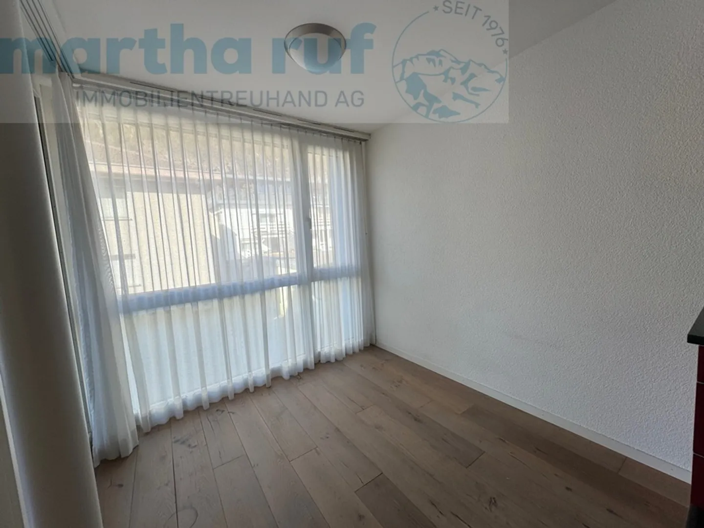 Modern Multi-Family Home in Interlaken - Photo 6 of 12