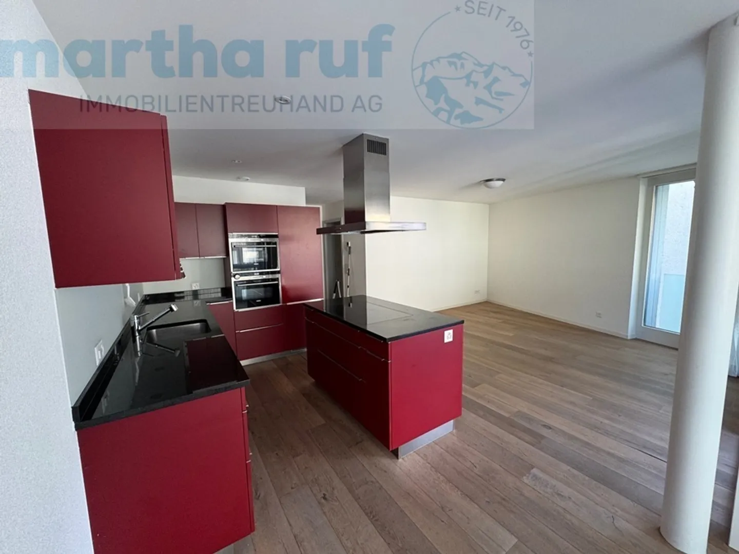 Modern Multi-Family Home in Interlaken - Photo 4 of 12