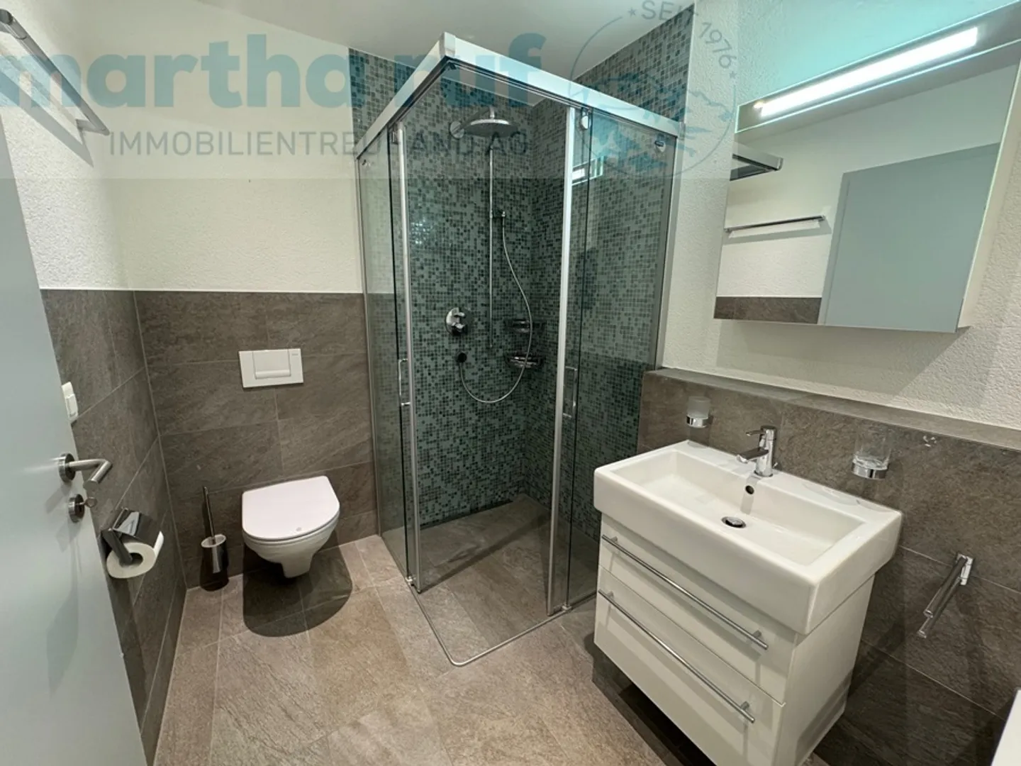 Modern Multi-Family Home in Interlaken - Photo 10 of 12