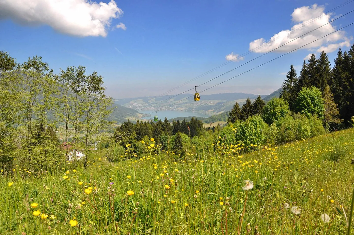 Central, Calme, Neuf - Photo 9 sur 9