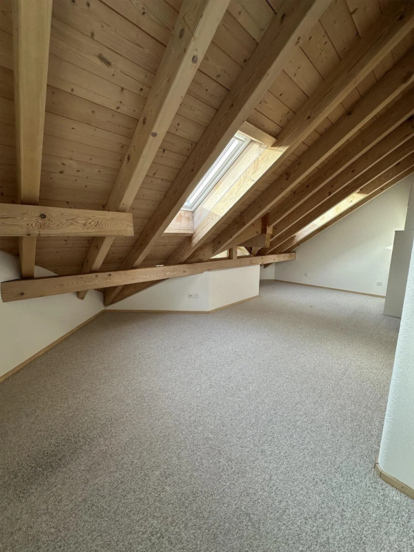 4.5 Room Duplex with Basement, Winter Garden, Garden etc. - Photo 15 of 16