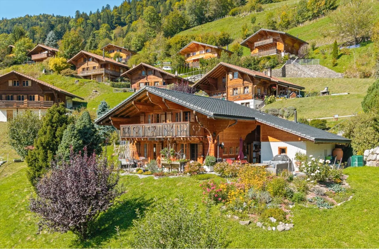 Chalet tradizionale con vista mozzafiato a Rossinière - Foto 1 di 12
