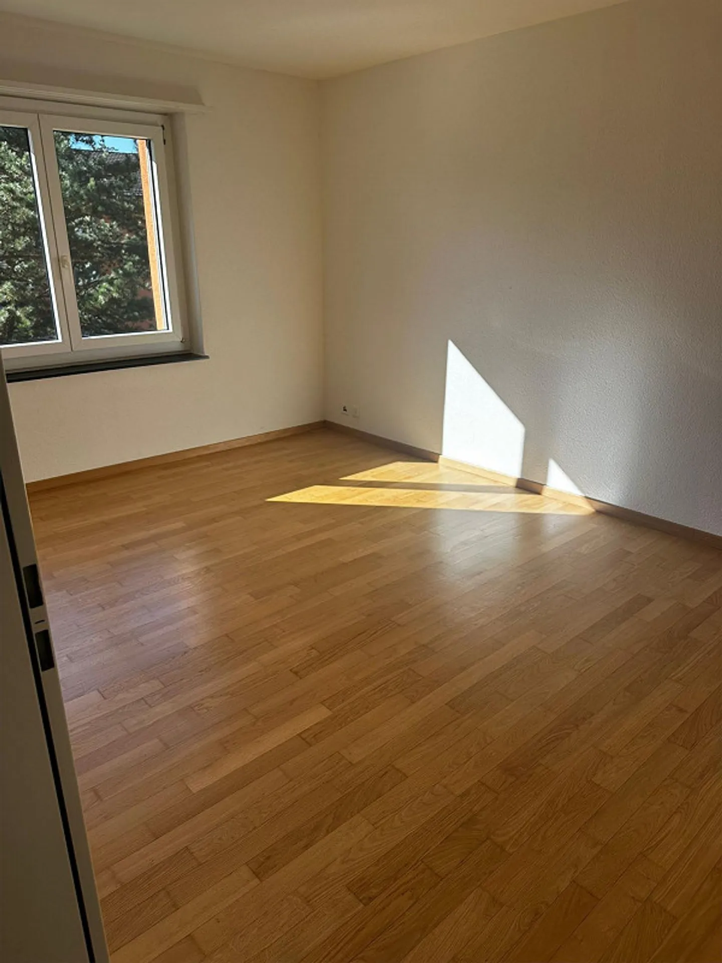 Vivere verde, rimanere mobili - Foto 5 di 8