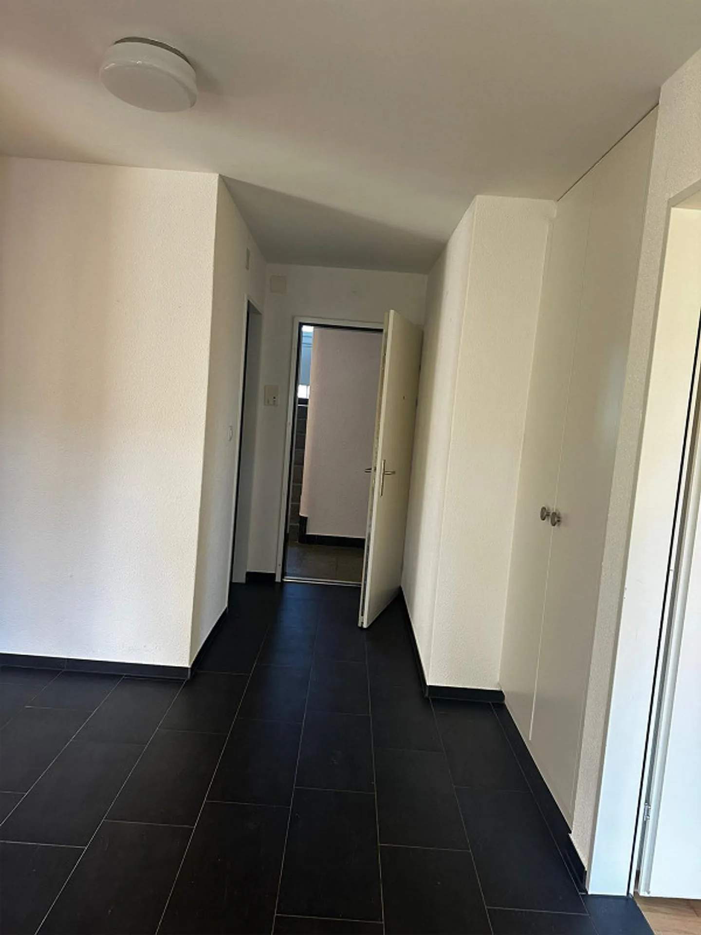 Vivere verde, rimanere mobili - Foto 6 di 8