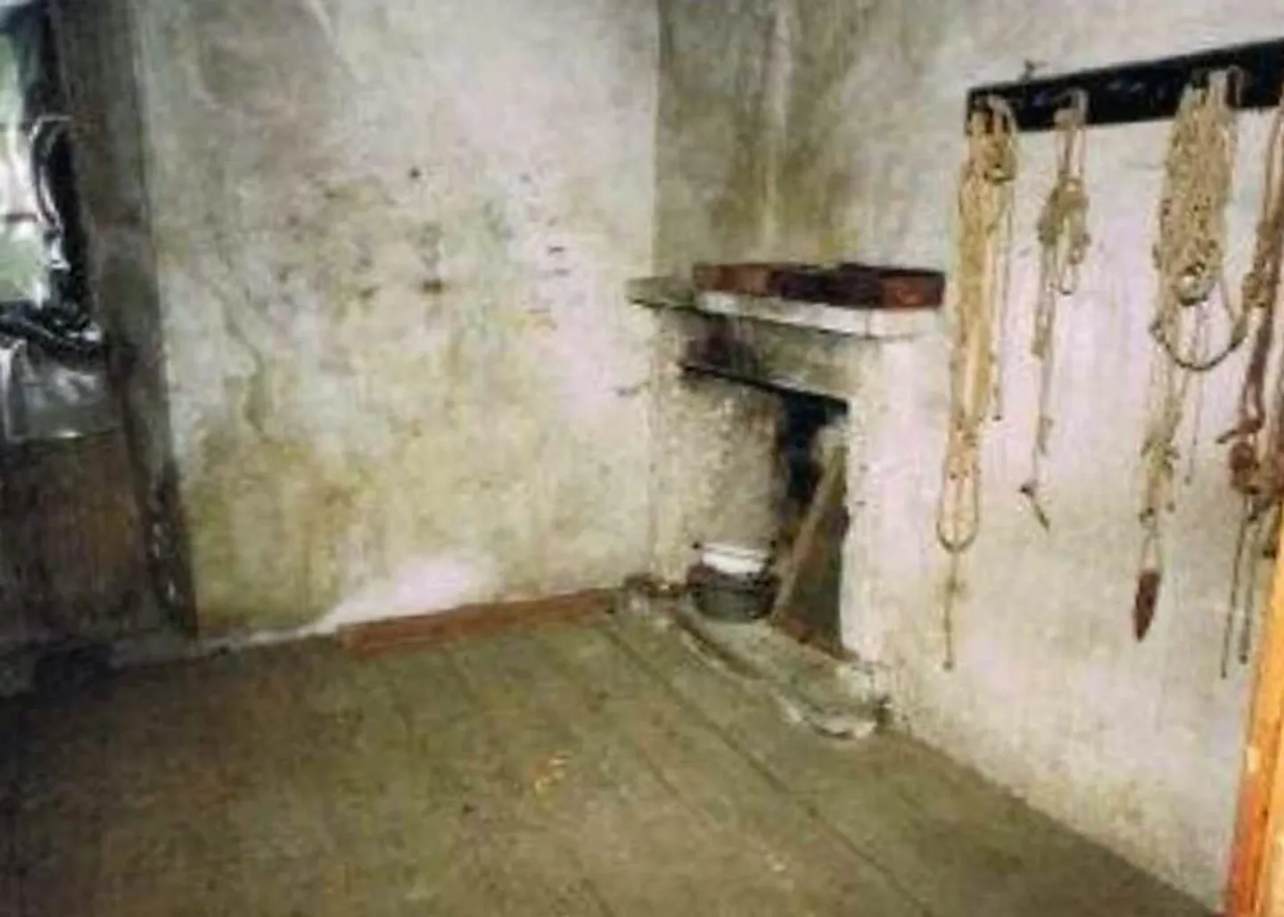Large 12-Room House for Renovation - Photo 7 of 12