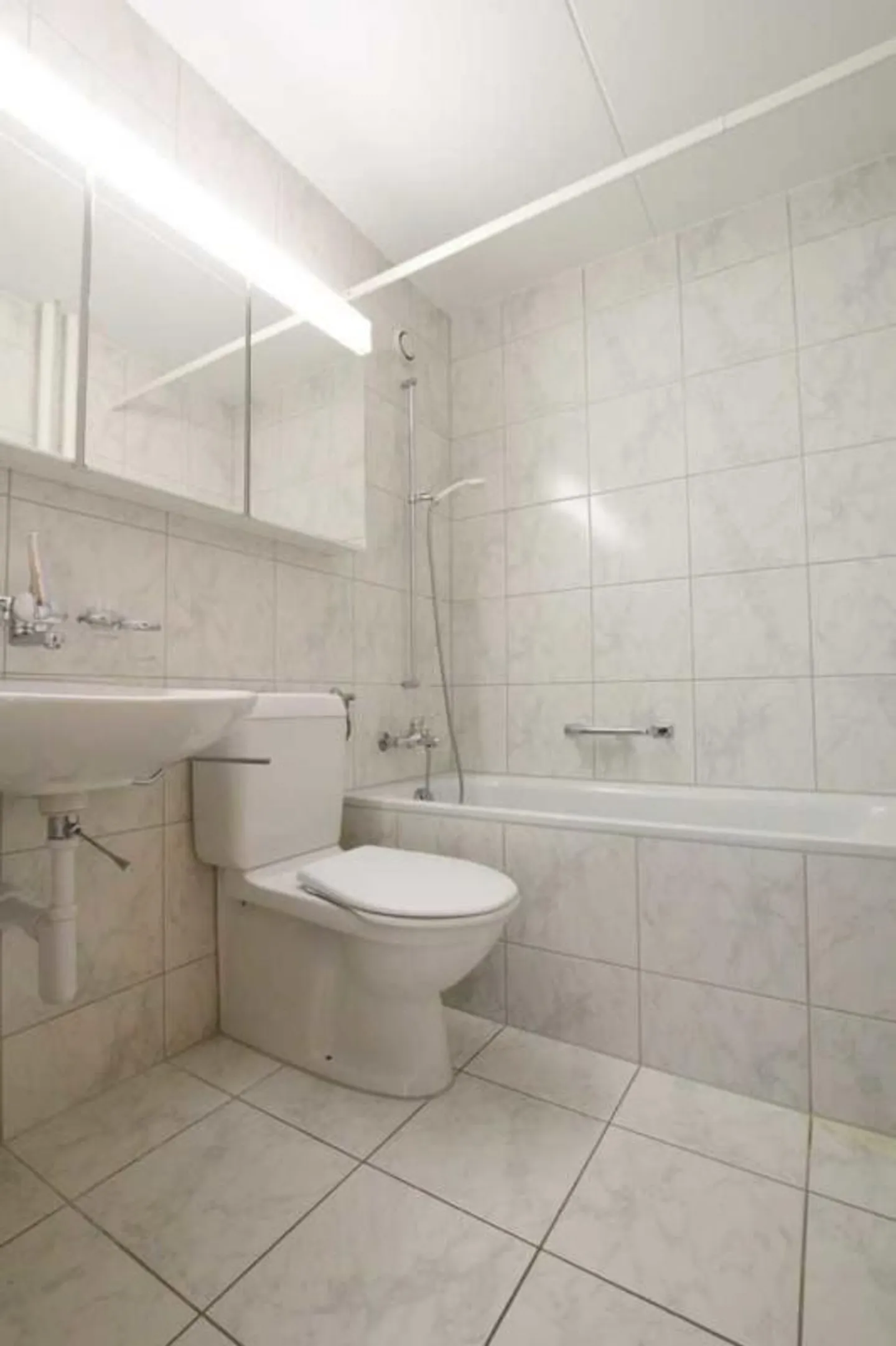 Living in a Quiet Location in Brunnen - Photo 10 of 11