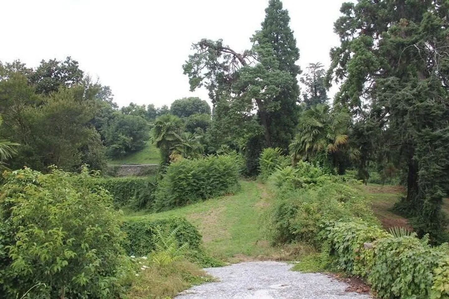 Building land of 50,000m2 on Lake Maggiore in Italy near Verbano - Photo 10 of 12