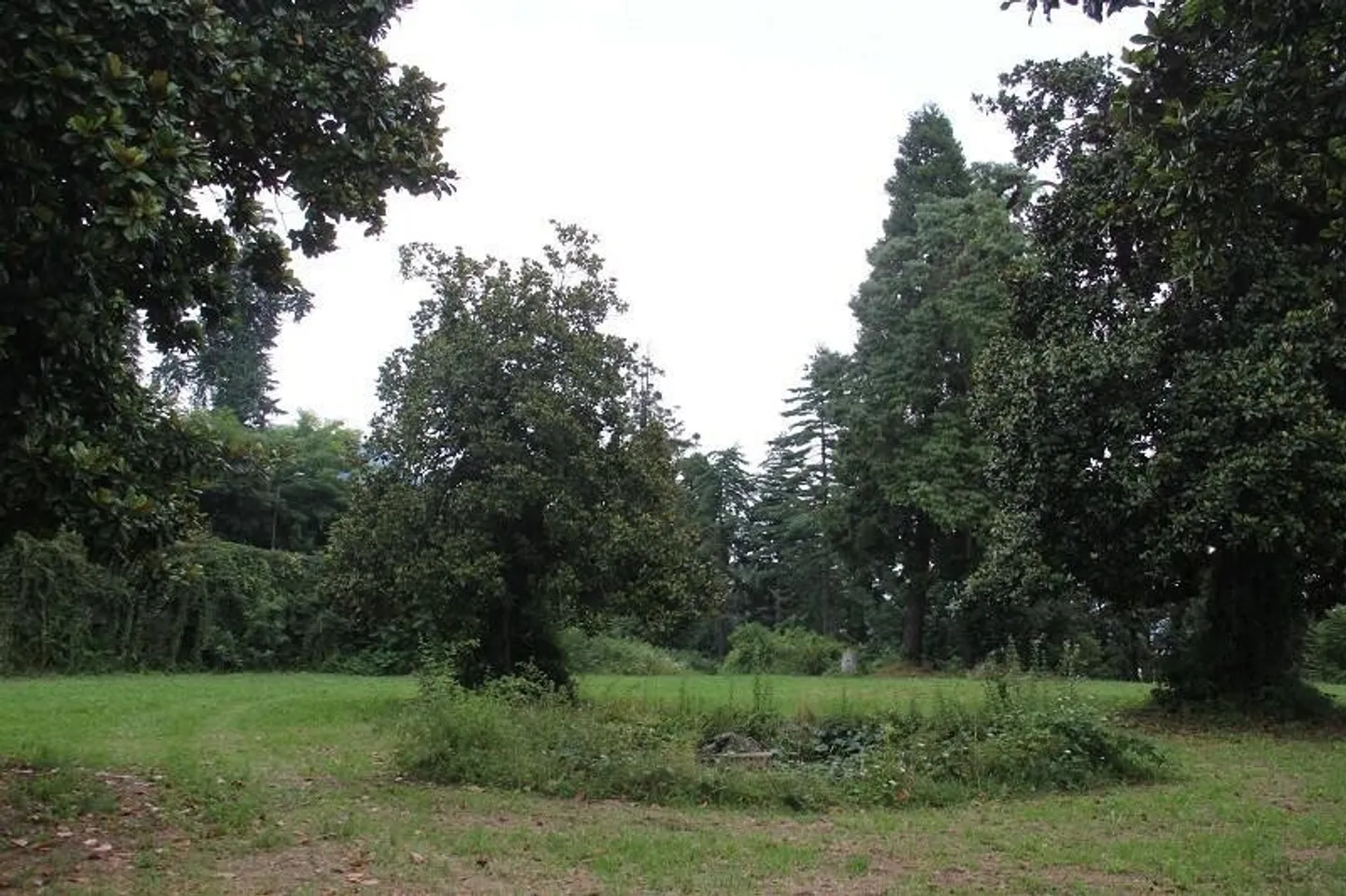 Building land of 50,000m2 on Lake Maggiore in Italy near Verbano - Photo 7 of 12