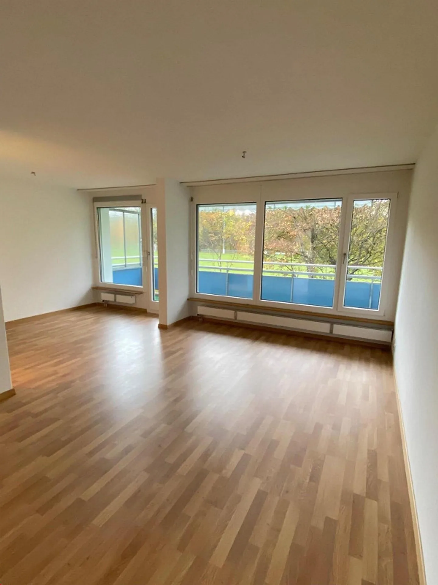 Luminoso appartamento di 3½ locali nell'Oberland bernese, centrale e vicino alla natura - Foto 3 di 9