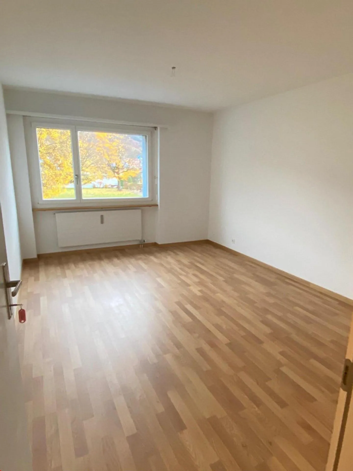 Luminoso appartamento di 3½ locali nell'Oberland bernese, centrale e vicino alla natura - Foto 4 di 9