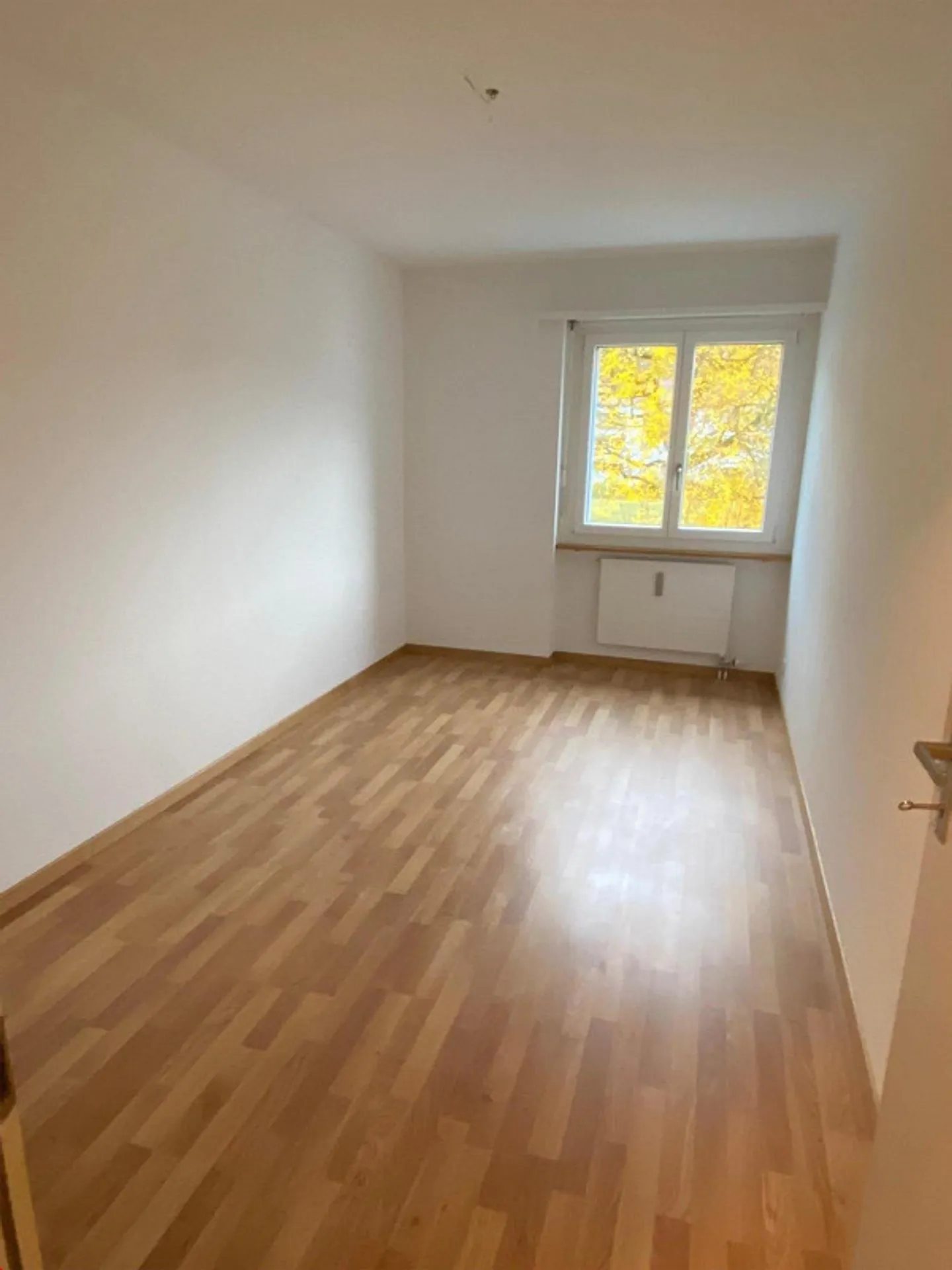 Luminoso appartamento di 3½ locali nell'Oberland bernese, centrale e vicino alla natura - Foto 5 di 9