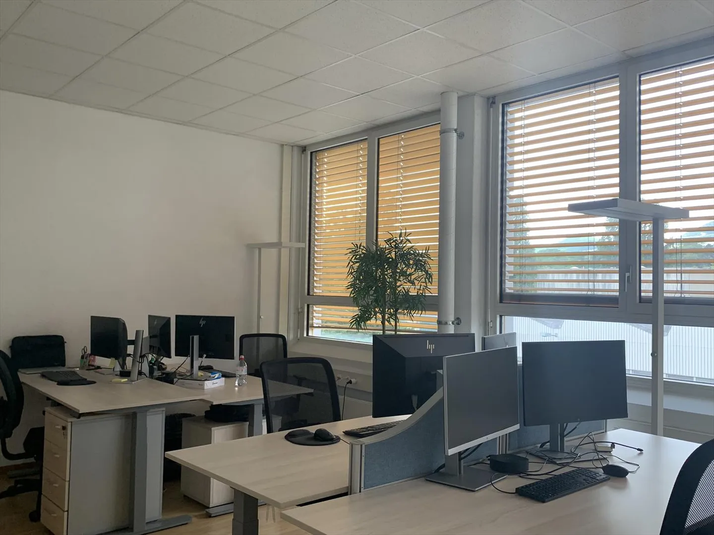 Bureaux luxueux de 940 m² à Champel - Photo 3 sur 9