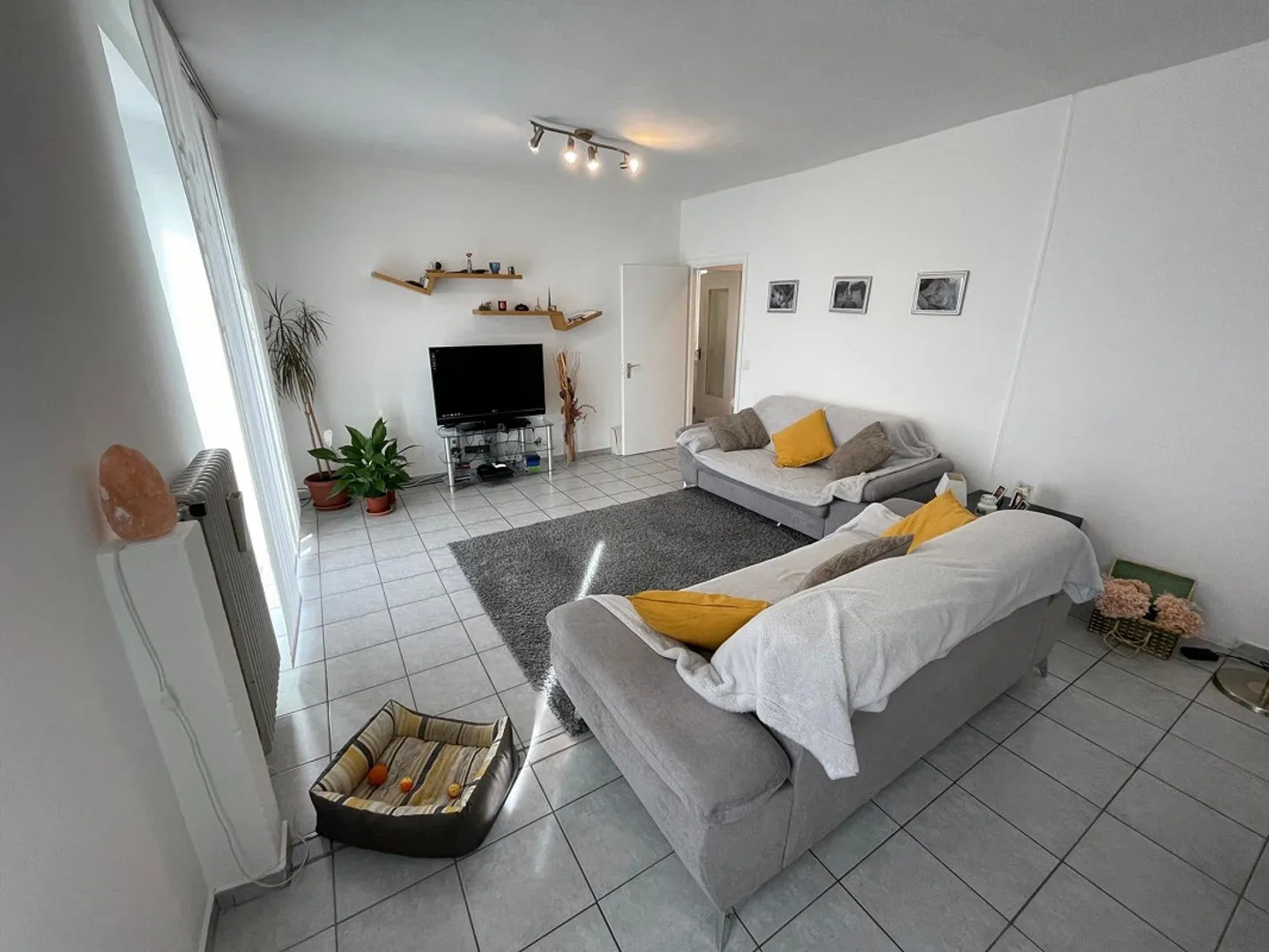 INTERESSANTES HAUS 6.5 ZIMMER MIT GARTEN - Foto 12 von 13