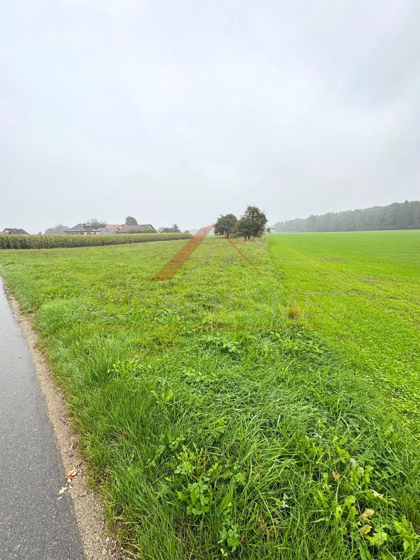 Attractive Building Land in 3376 Graben - Sunny, Quiet and Versatile - Photo 3 of 7