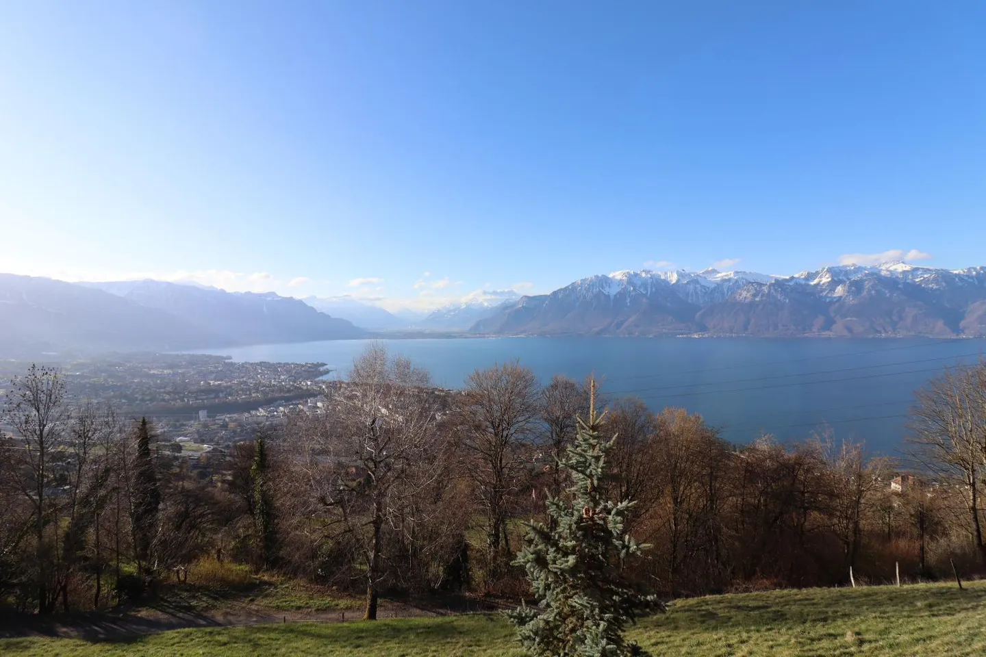 Appartamento 3.5 locali - Foto 14 di 15