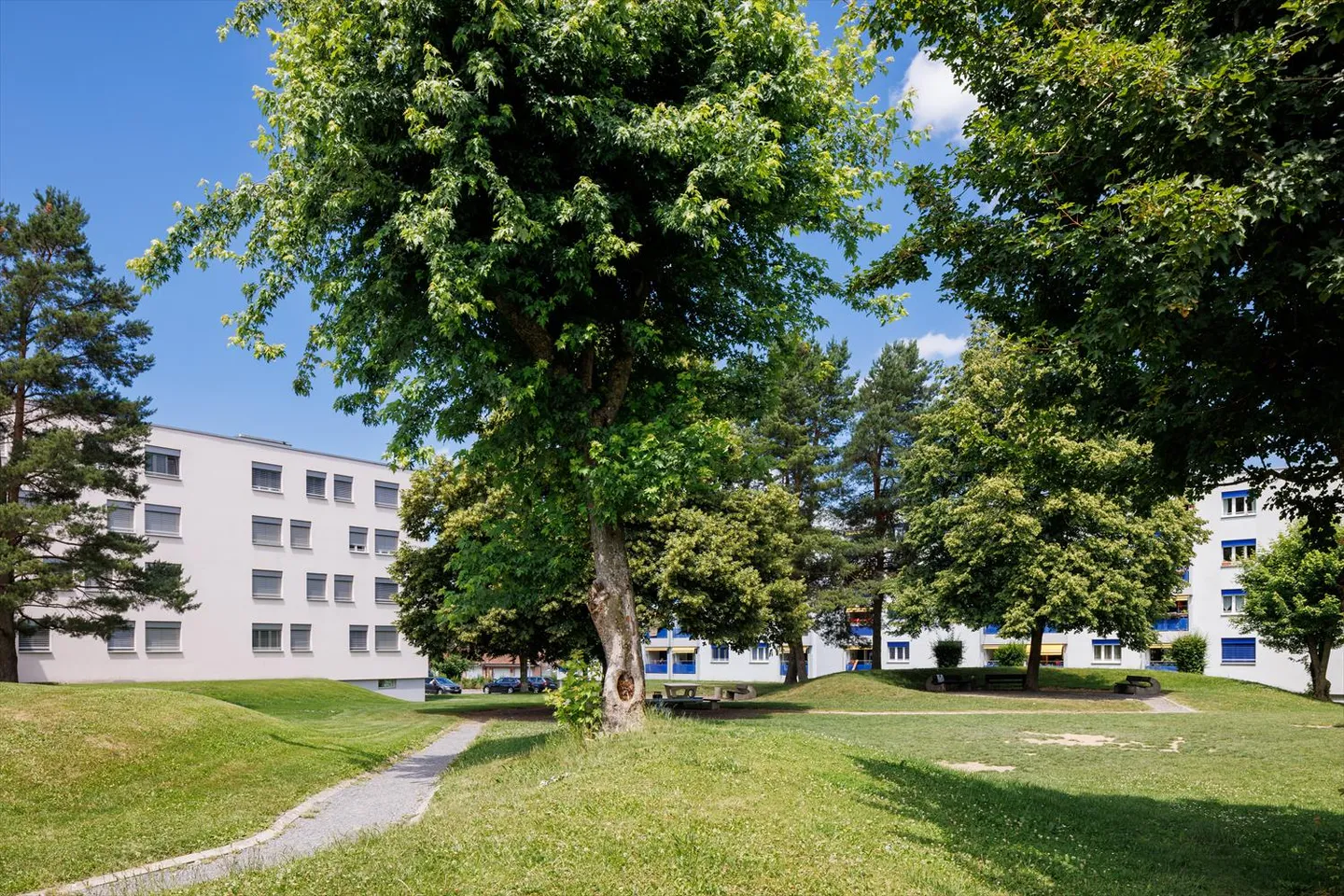 Appartamento 2.5 stanze - Foto 4 di 4