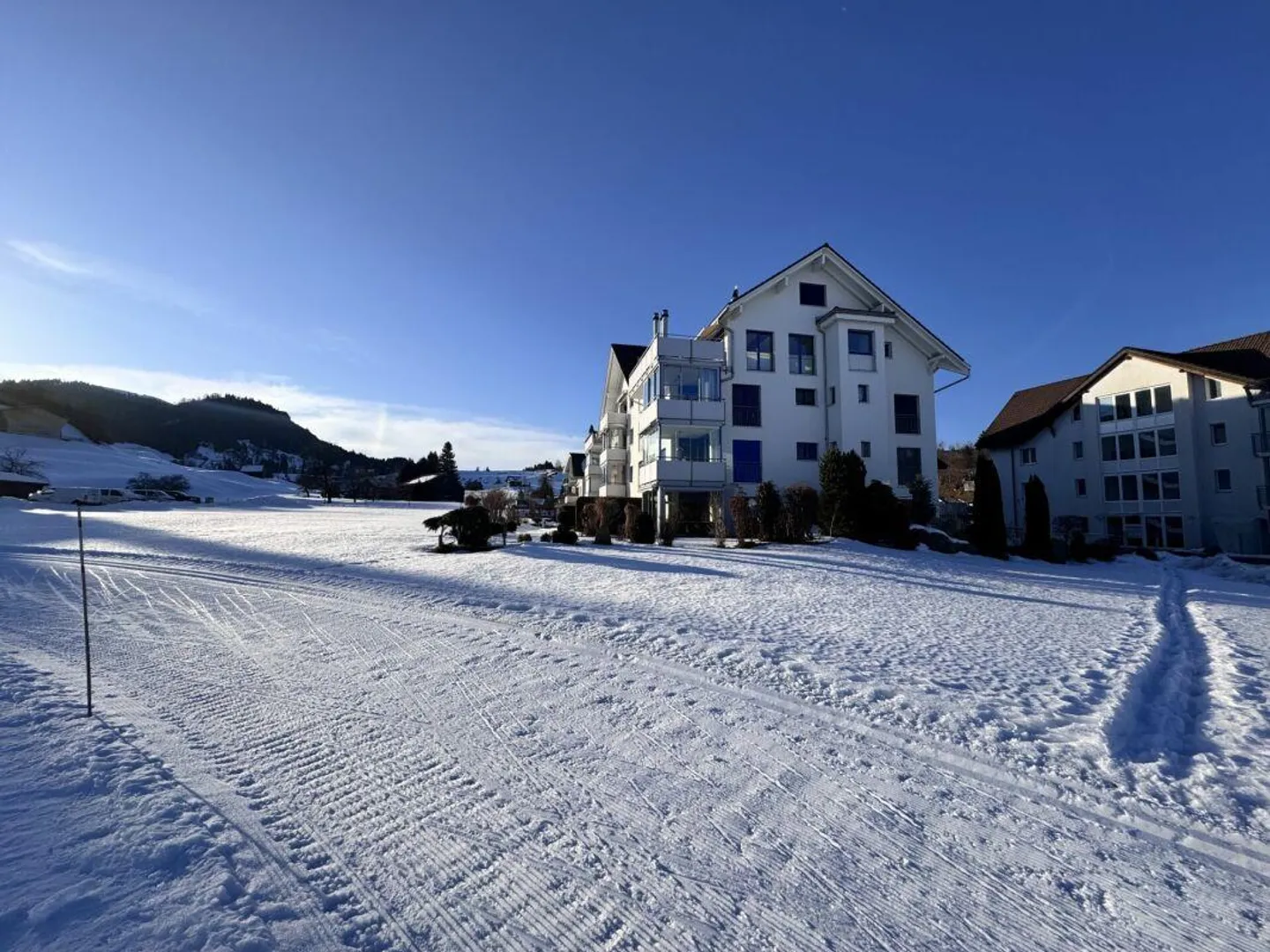 Sogno abitativo esclusivo: albe e panorama sul lago Sihl! - Foto 16 di 20
