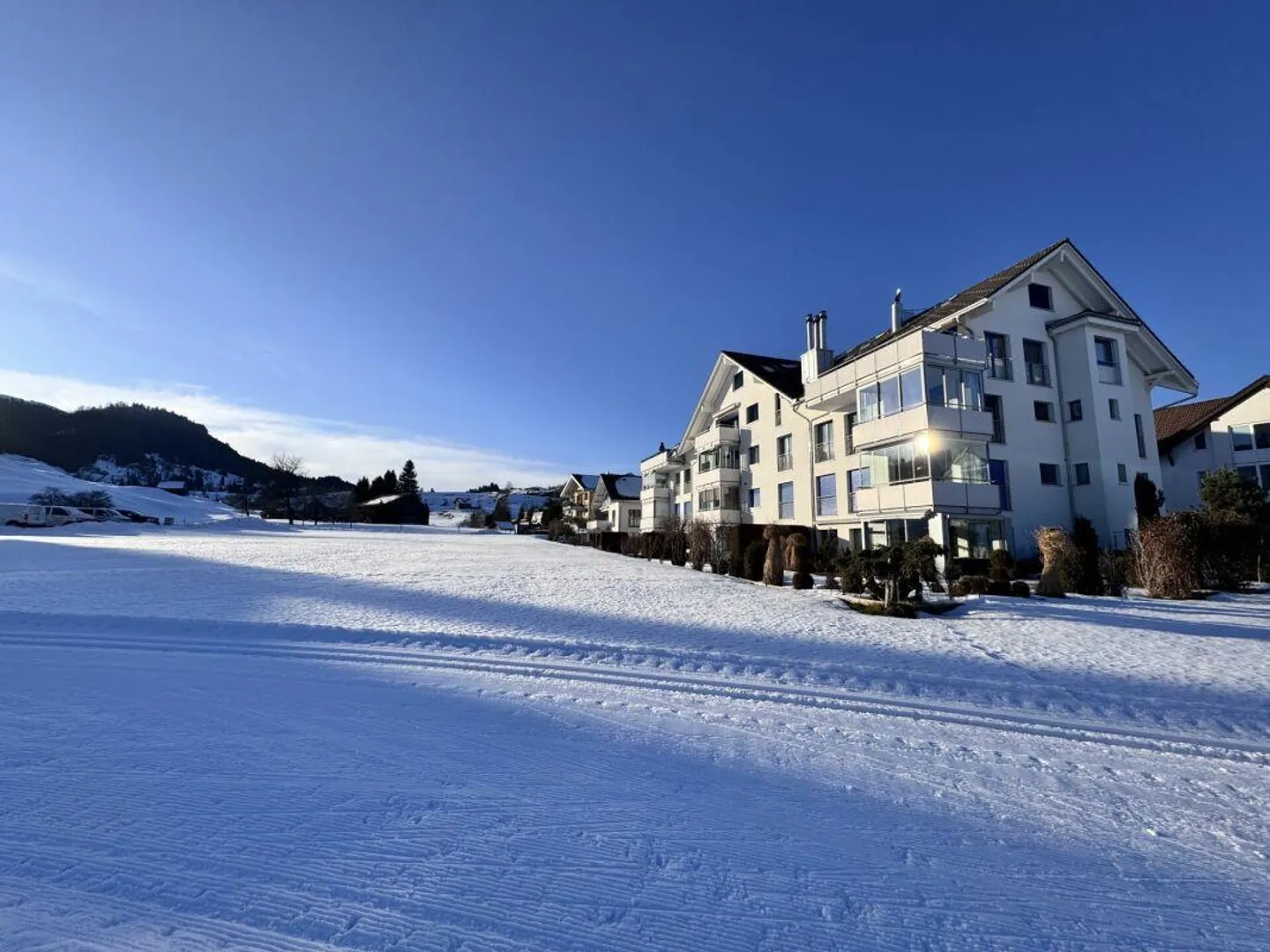 Sogno abitativo esclusivo: albe e panorama sul lago Sihl! - Foto 17 di 20