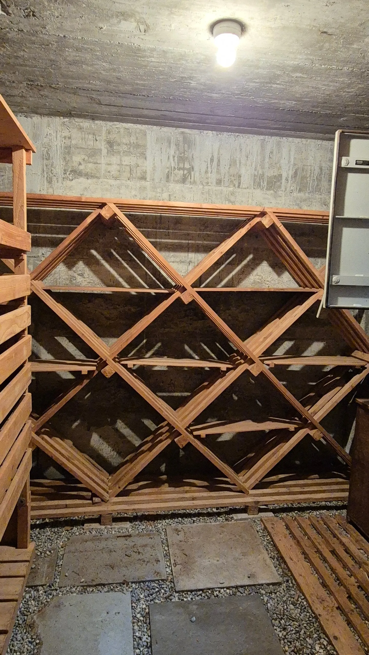 Spacious Family Apartment in Langendorf - Photo 18 of 24