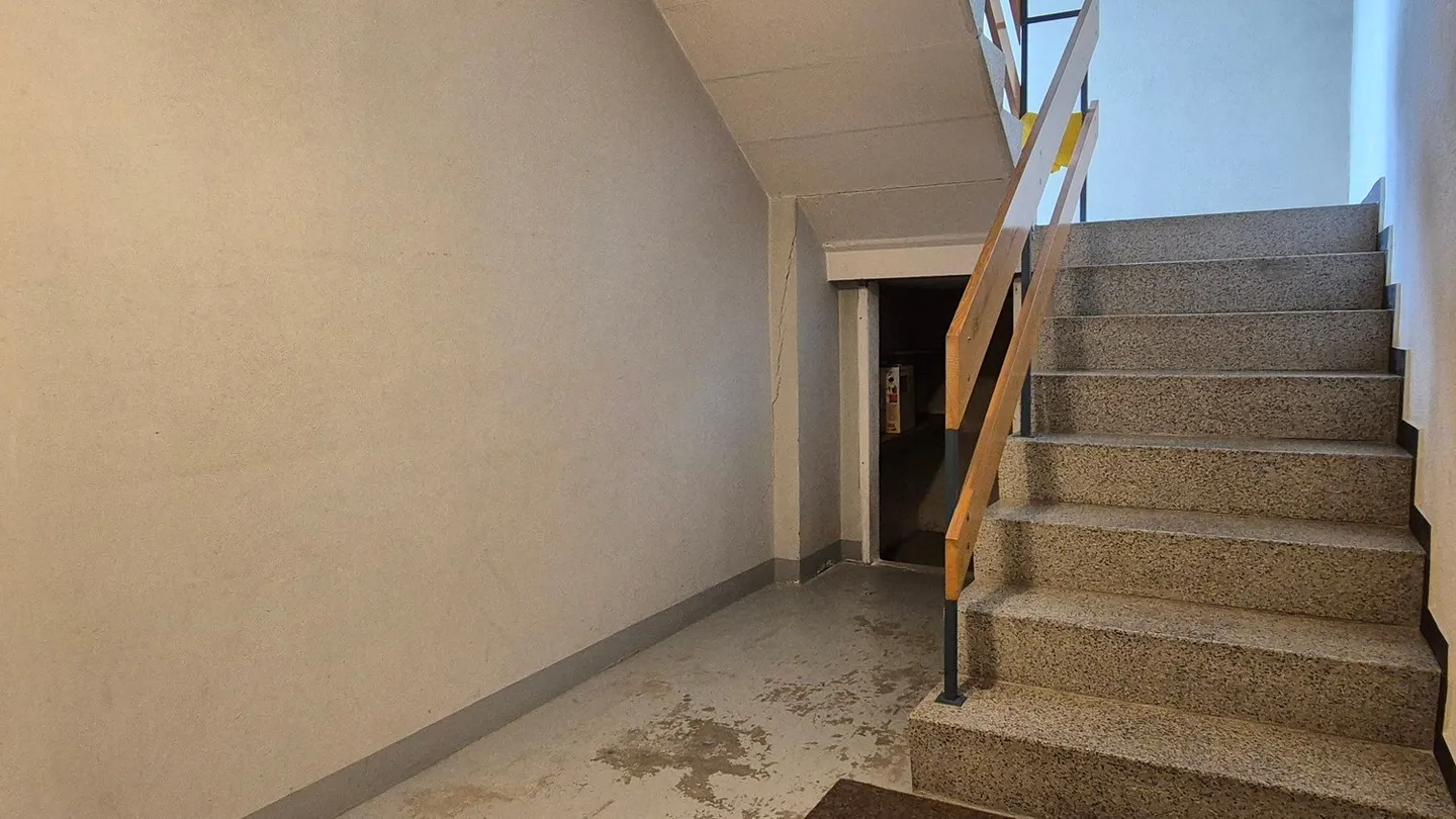 Spacious Family Apartment in Langendorf - Photo 21 of 24