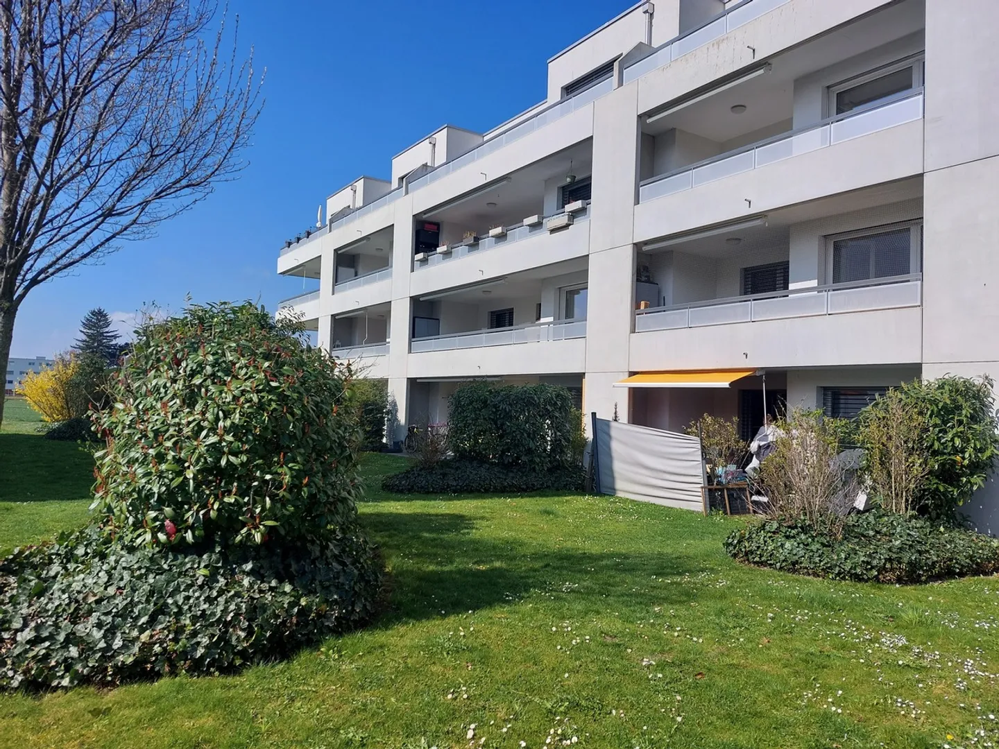 Appartamento in affitto - Foto 1 di 4