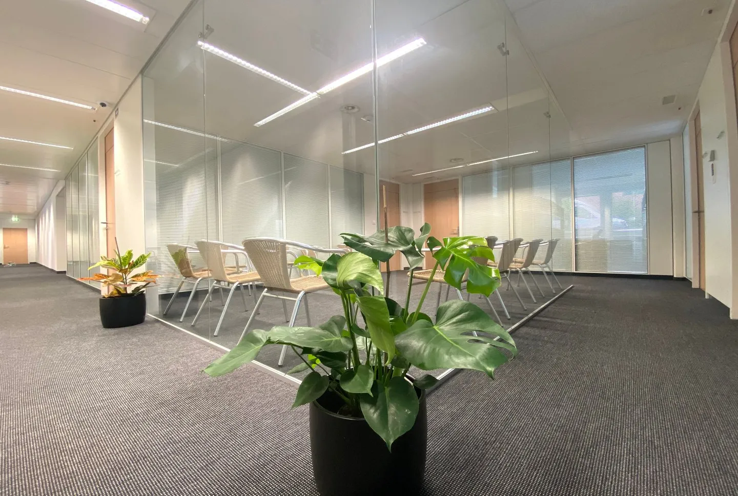 5 Stanze Disponibili per Affitto in uno Studio Condiviso - Foto 1 di 8