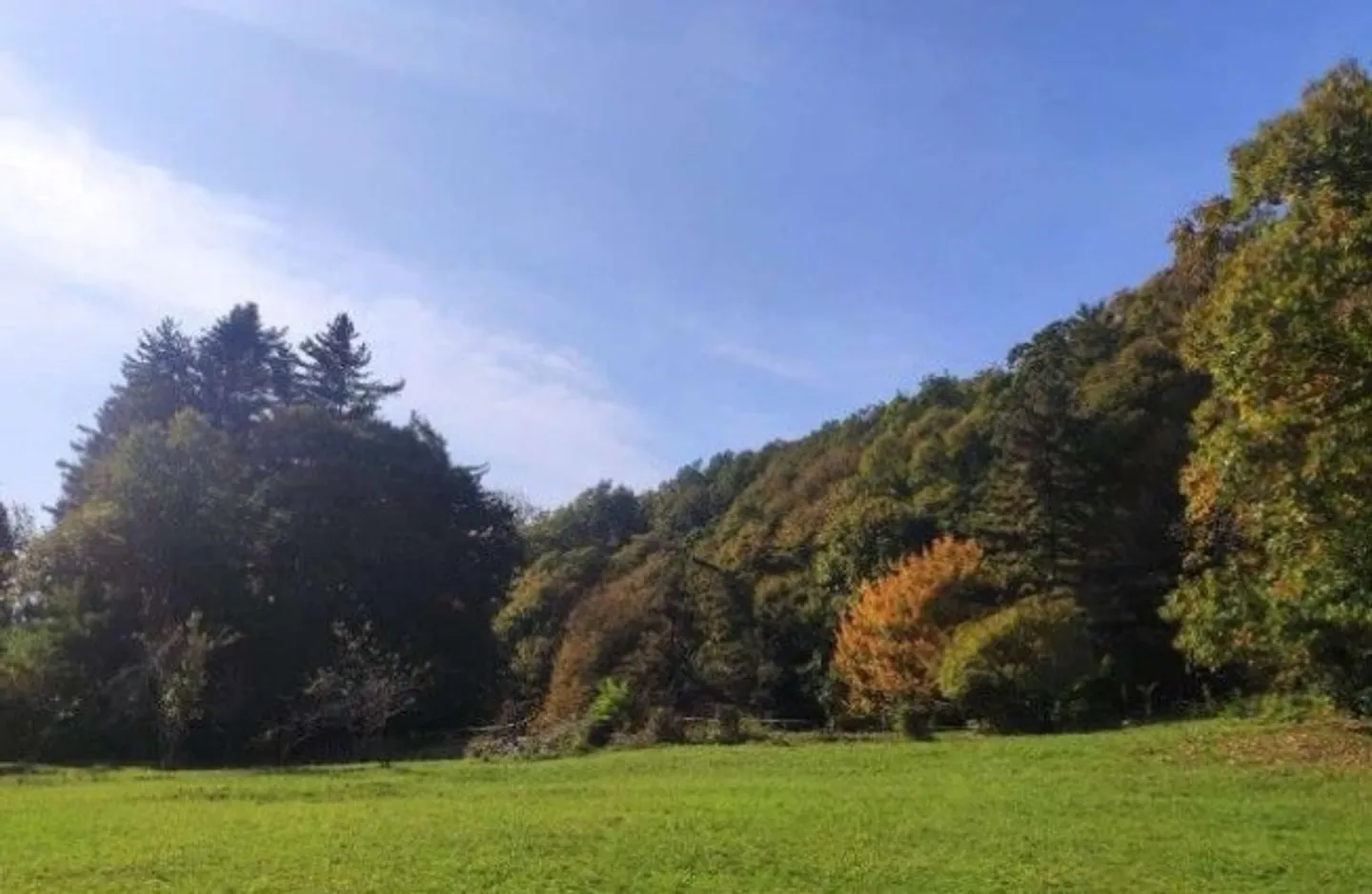 Opportunità Terreno Unica in Svizzera - Foto 2 di 2