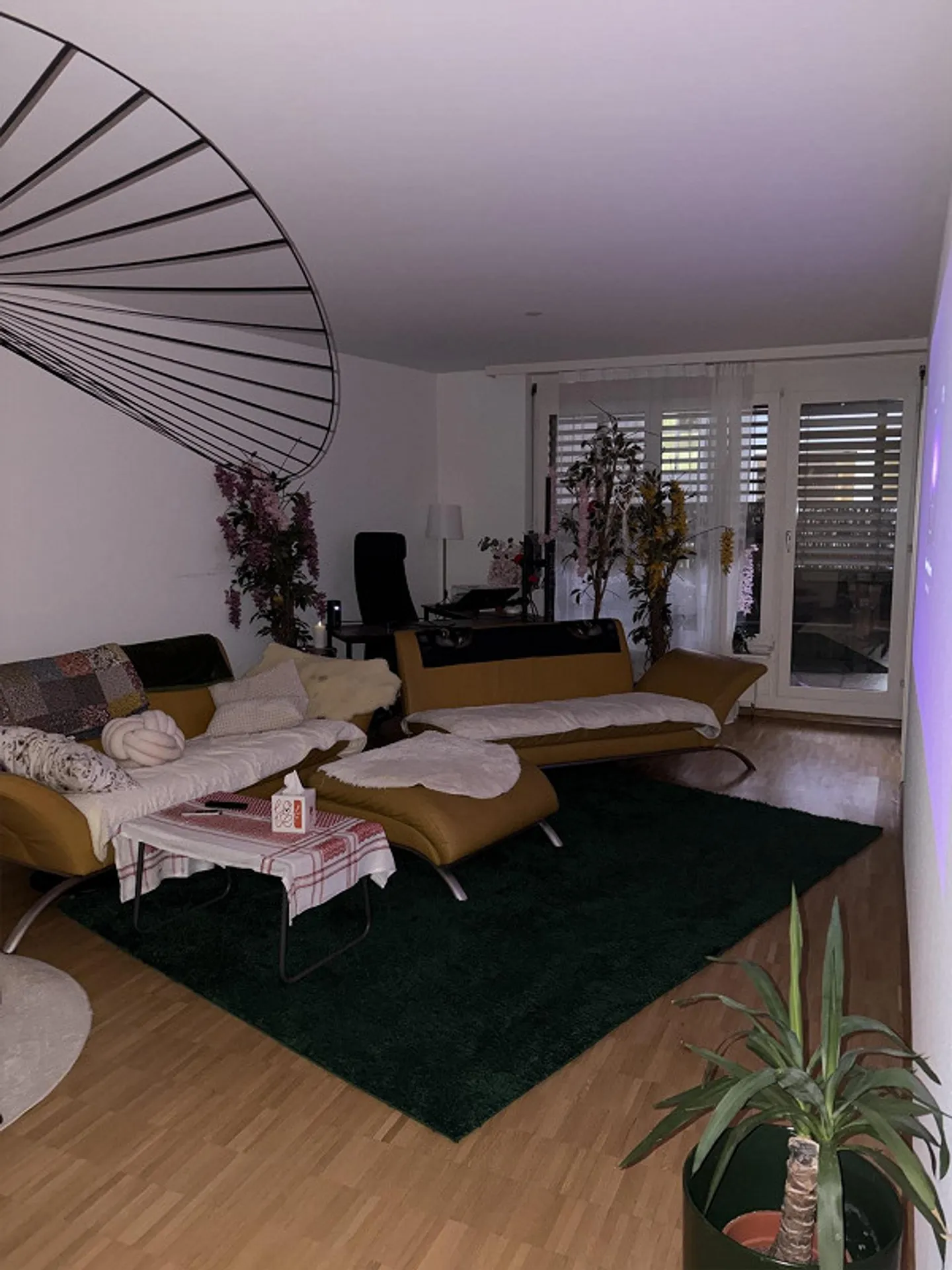 Modern 2.5-room apartment with two balconies - Photo 4 of 19