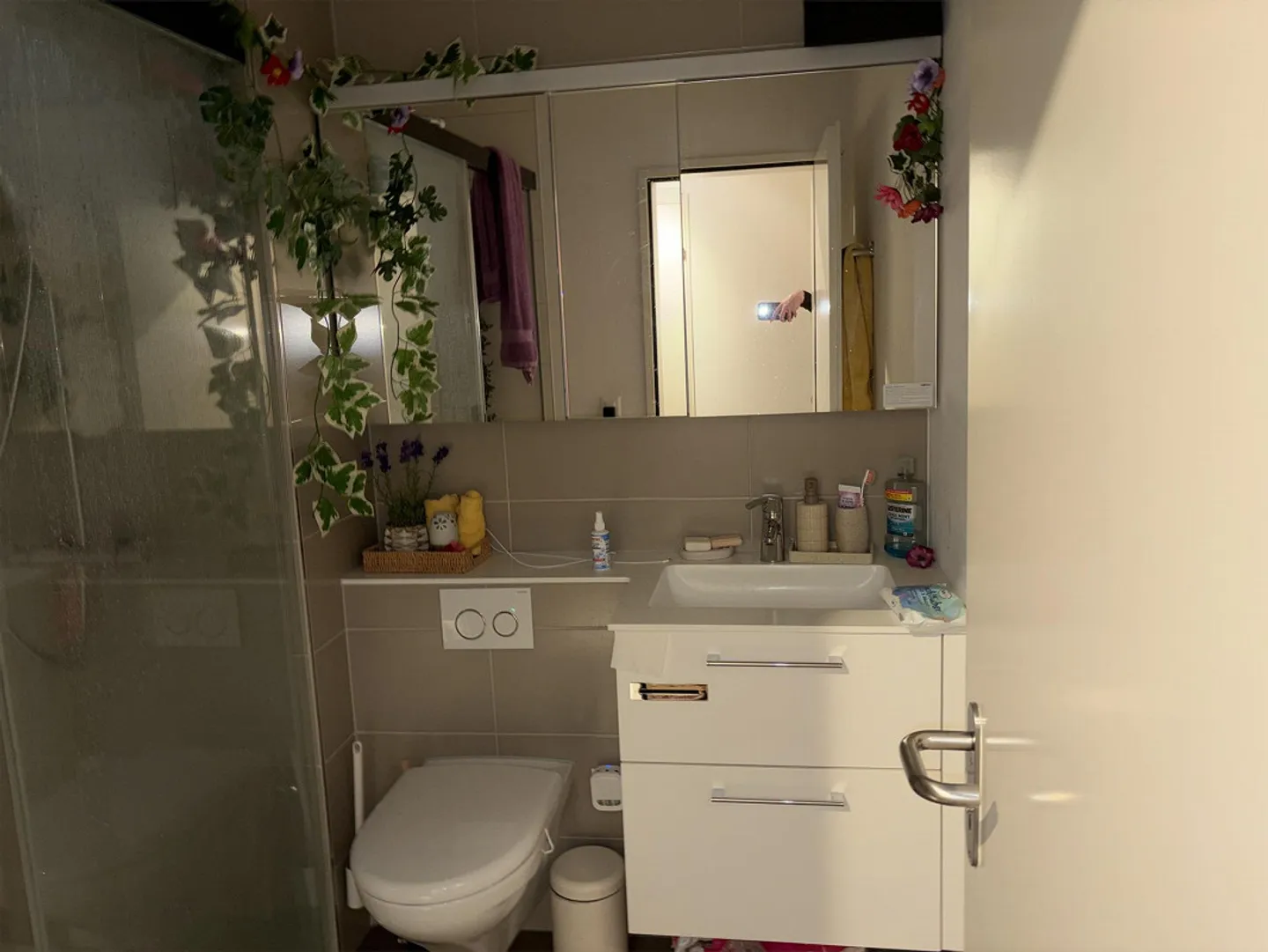 Modern 2.5-room apartment with two balconies - Photo 10 of 19