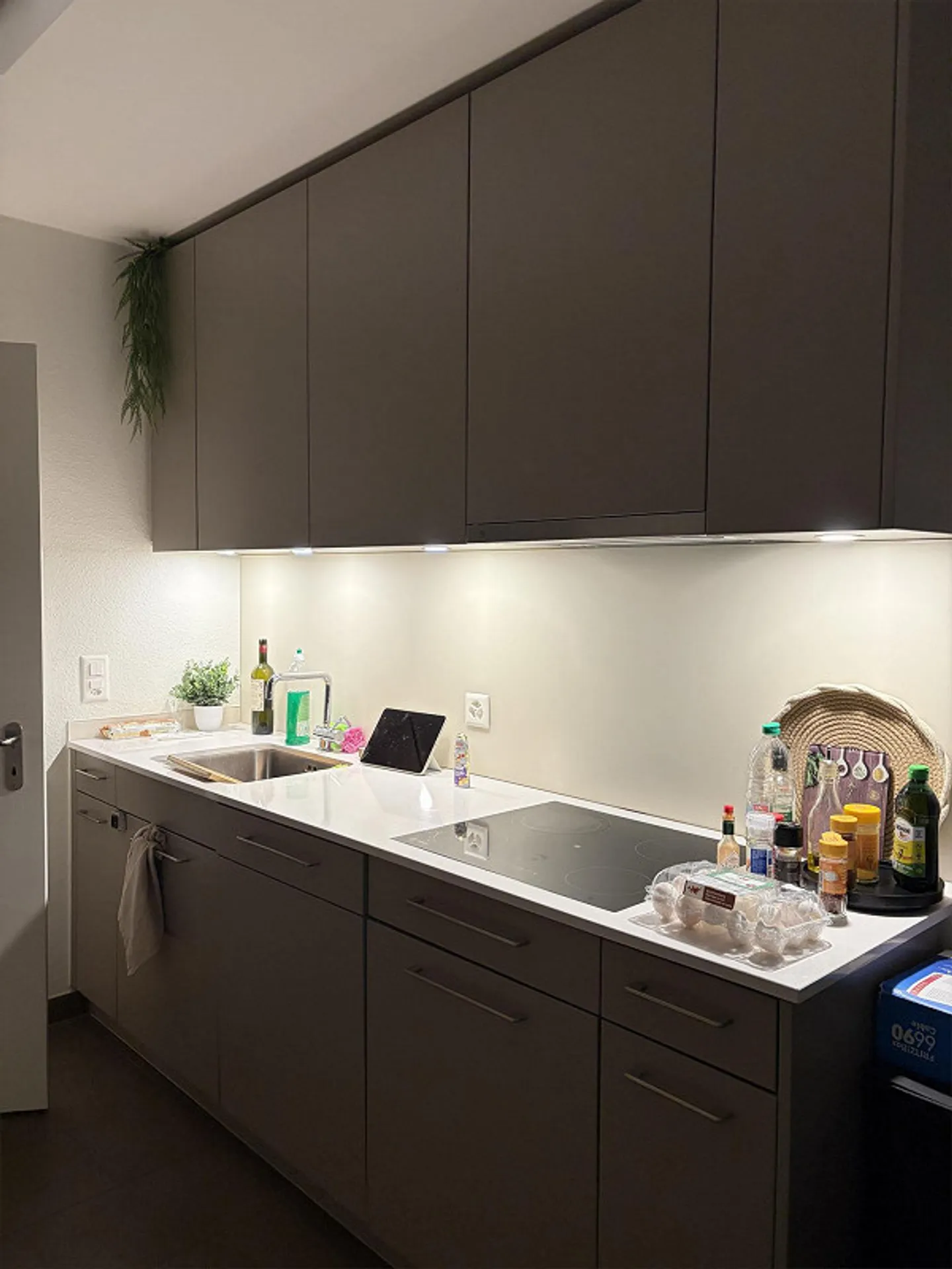 Modern 2.5-room apartment with two balconies - Photo 16 of 19