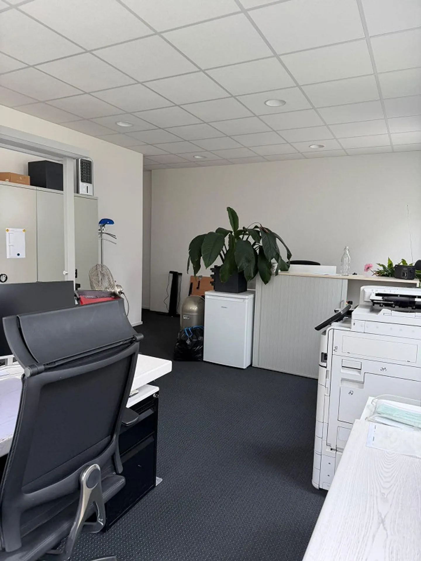 Superficie commerciale esclusiva – 117 m² di lavoro inondati di luce in un - Foto 4 di 6