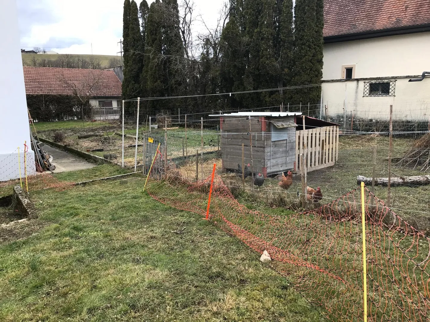 Wohnung mieten - Foto 5 von 8