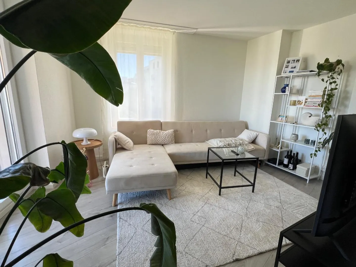 Appartement 2.5 pièces - Photo 2 sur 5