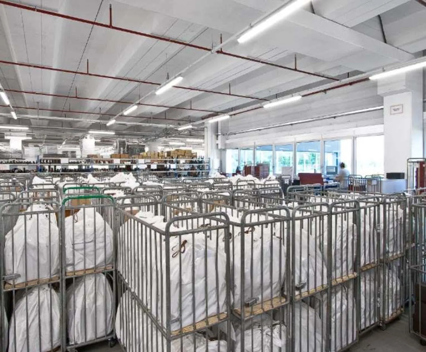 Vente d'un grand espace logistique/laboratoire/de production - Contone - Photo 6 sur 11