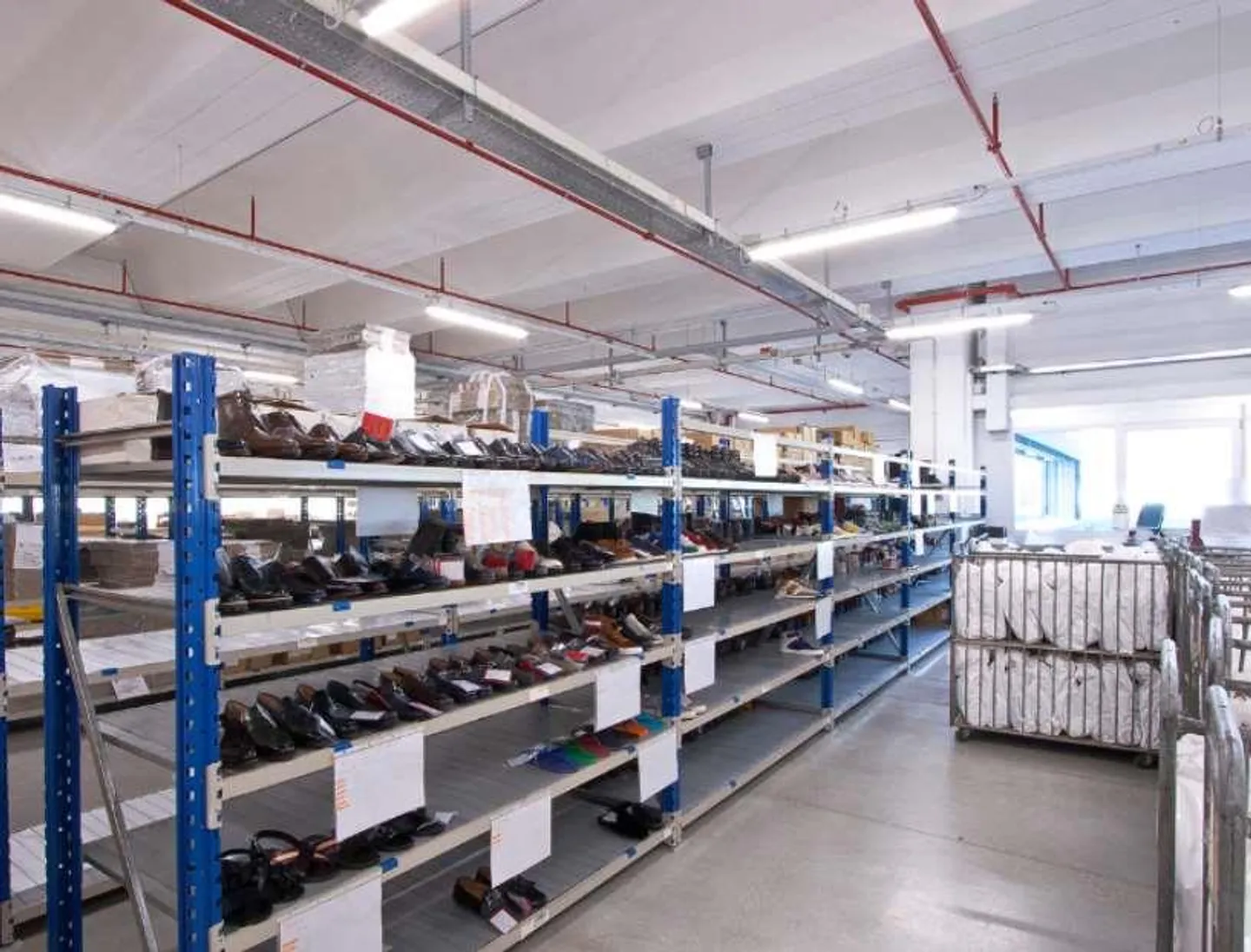 Vente d'un grand espace logistique/laboratoire/de production - Contone - Photo 8 sur 11