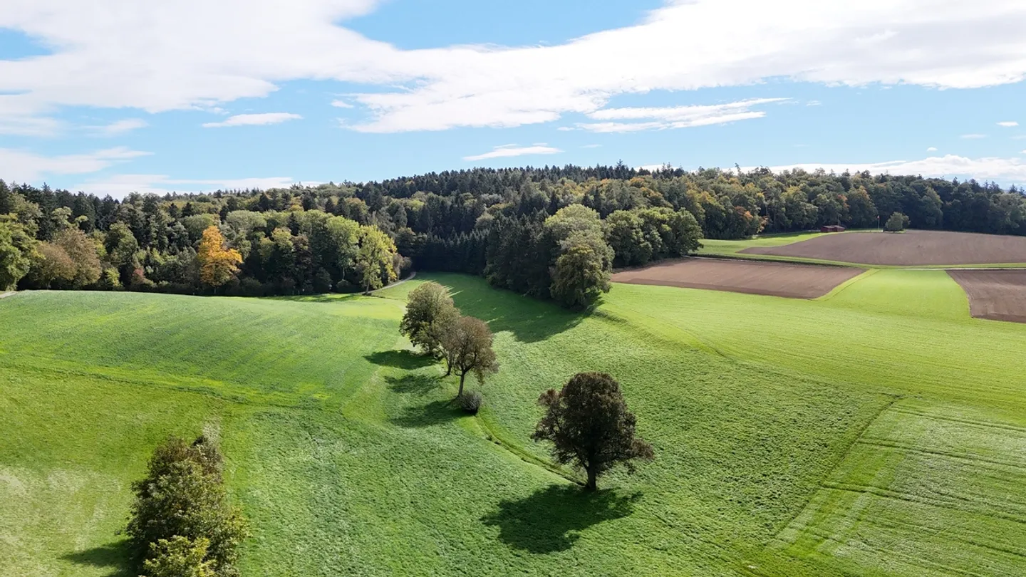 NEUBAU-JUWEL: 3.5-Zimmer-Wohnung mit Terrasse - Foto 6 von 6