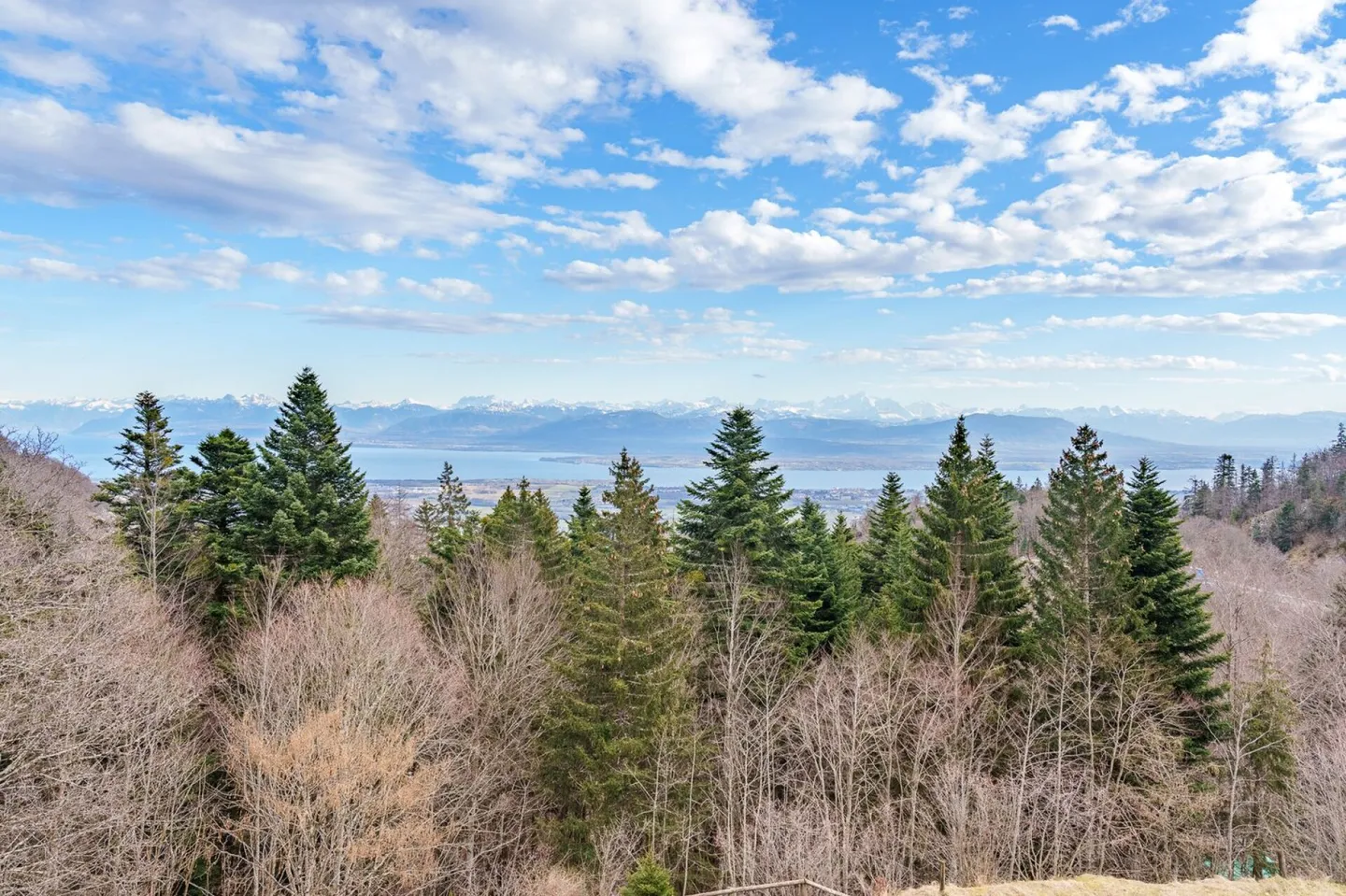 Appartamento in vendita - Foto 7 di 12