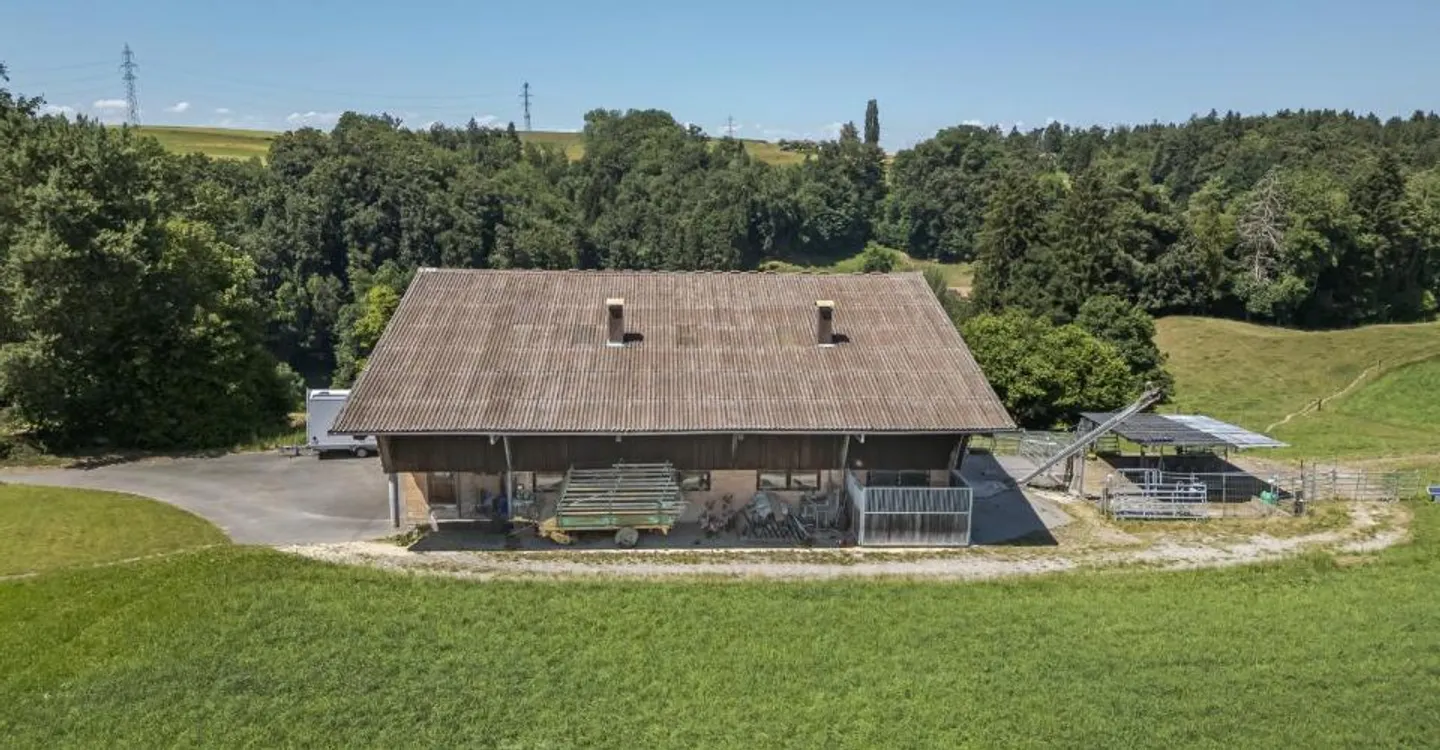 Small Agricultural Farm with Various Buildings - Rosshäusern - Photo 3 of 12