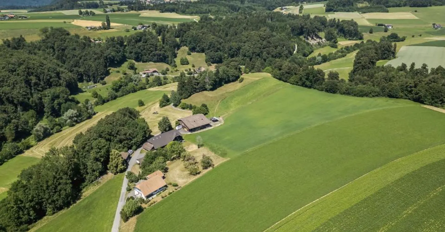 Small Agricultural Farm with Various Buildings - Rosshäusern - Photo 8 of 12