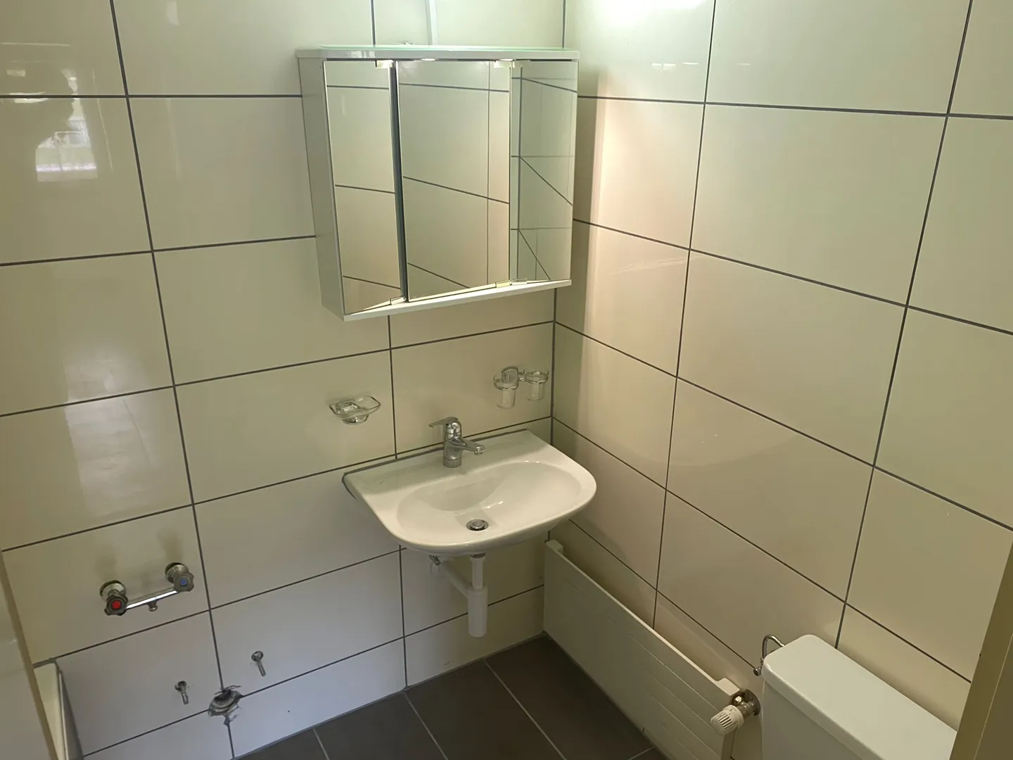 Appartamento 2.5 camere incantevole - Foto 8 di 9