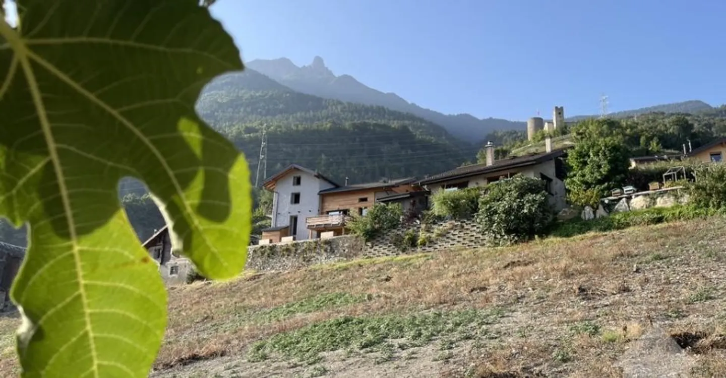 Appartamento moderno con giardino - Foto 3 di 7