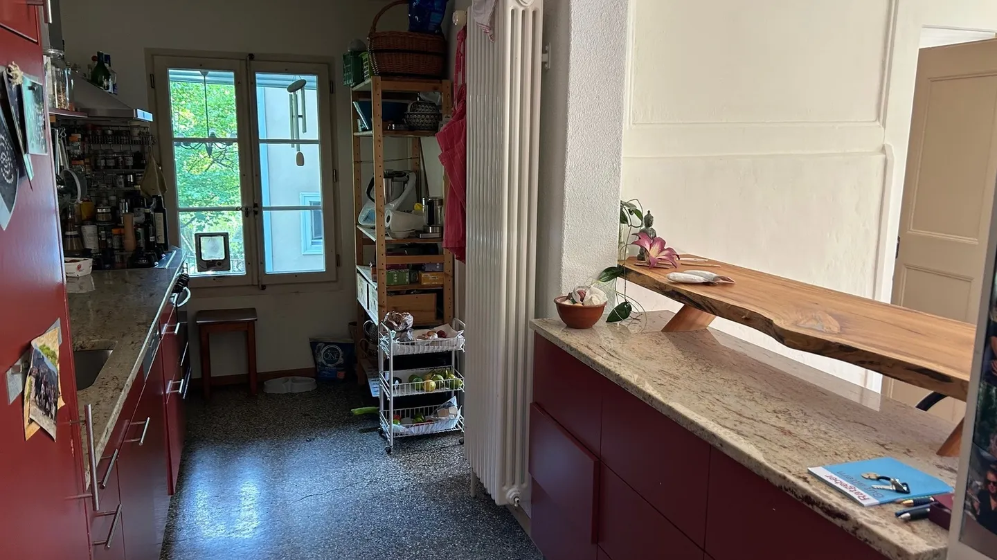 APPARTAMENTO 4½ STANZE A BERN - ALTENBERG, ARREDATO, TEMPORANEO - Foto 4 di 10