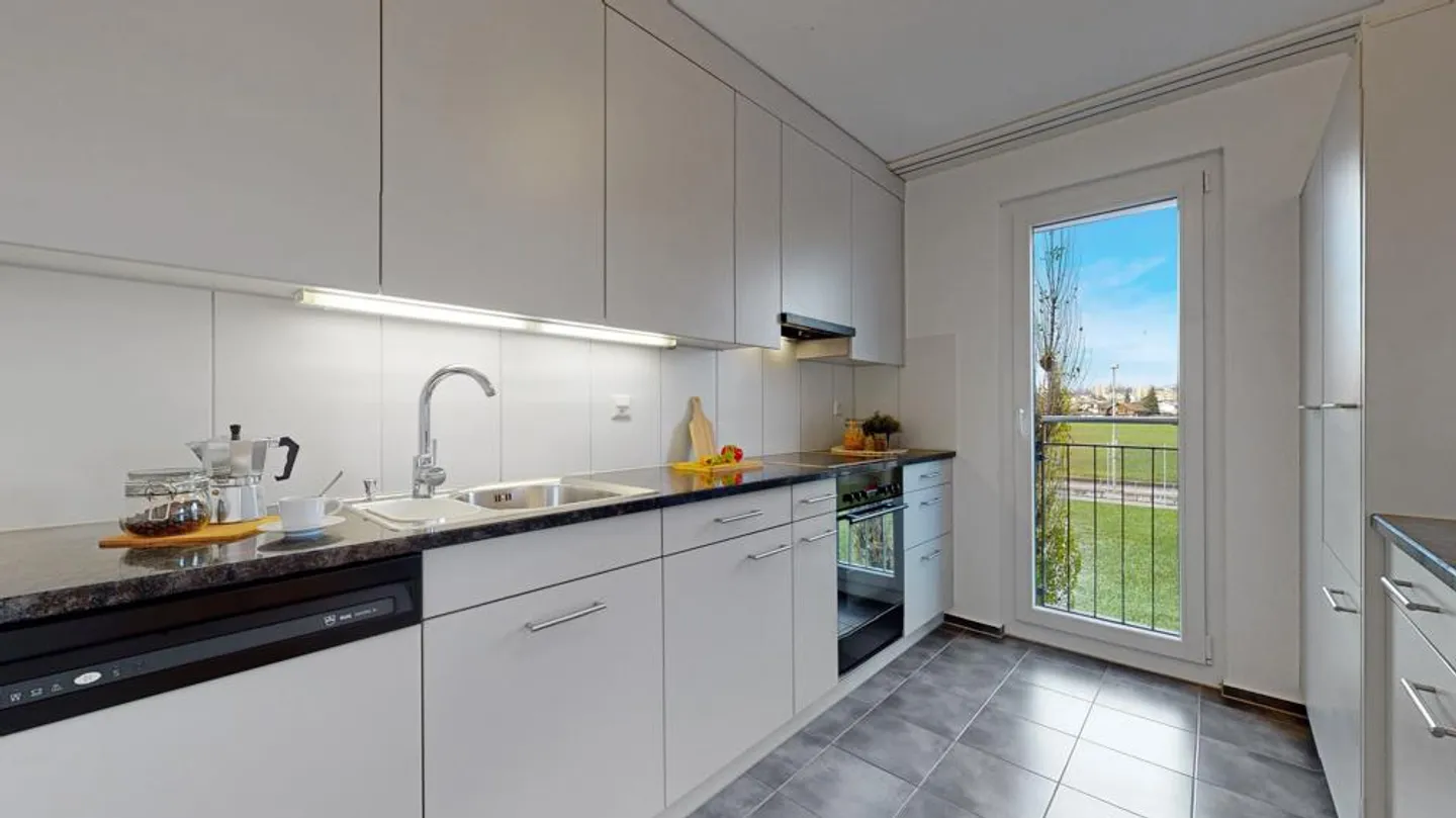 Vivere moderno nella città delle rose di Jona-Rapperswil - Foto 3 di 9