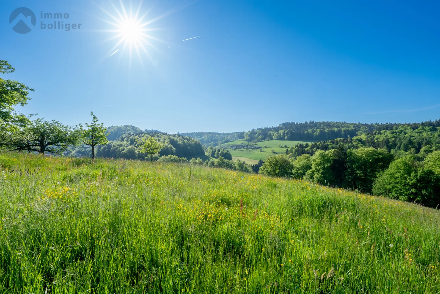 Vivere al 'Härdöpfuhoger' - Foto 8 di 14
