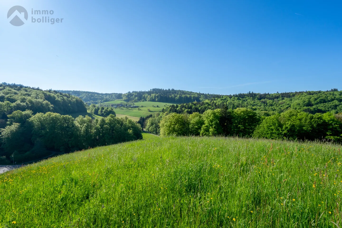 Vivere al 'Härdöpfuhoger' - Foto 11 di 14