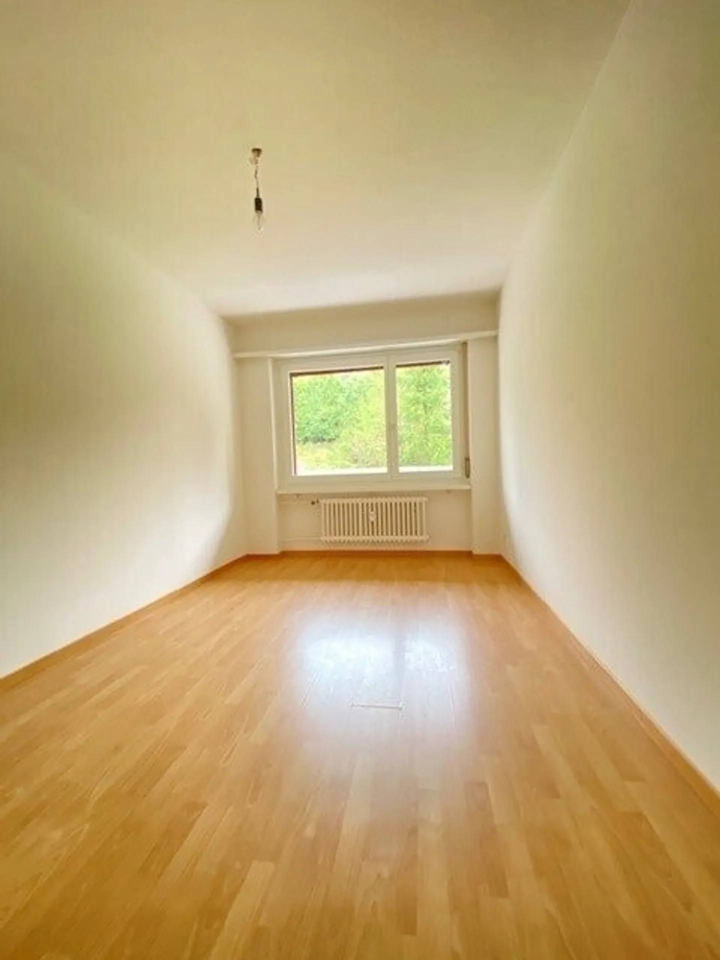 Bright & Spacious Apartment with Charm - Photo 4 of 7